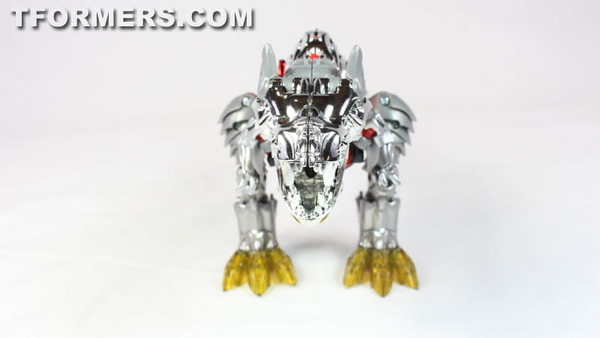 SDCC 2014   G1 Dinobots Exclusives Video Review And Images Transformers Age Of Extinction  (19 of 69)